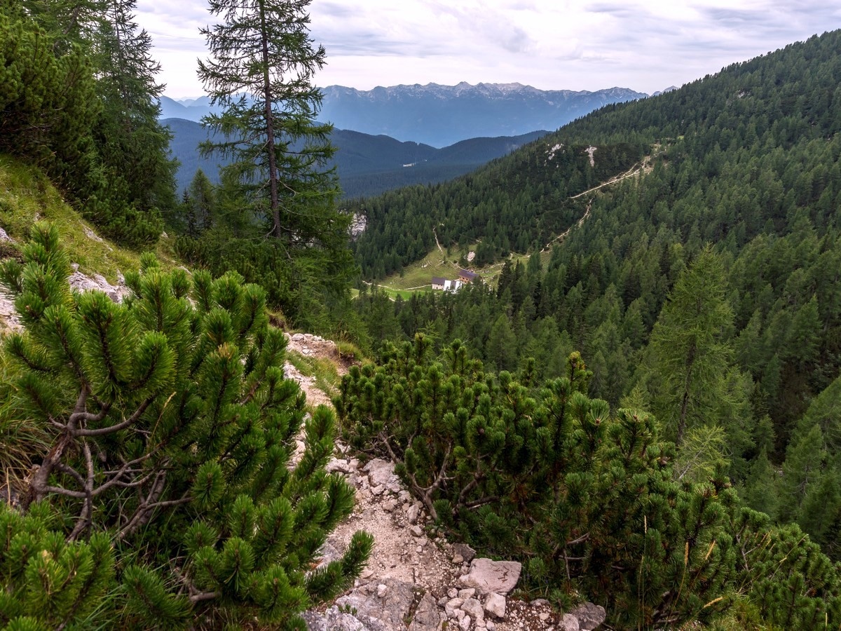 Lipanca pasture view from hiking on Debela Peč trail in Julian Alps, Slovenia