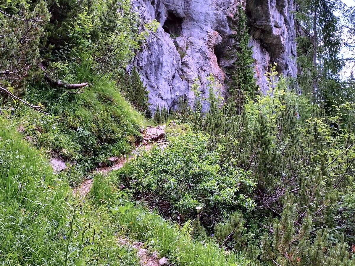 The path above Konjščica pasture on Mount Tosc trail in Slovenia, Julian Alps