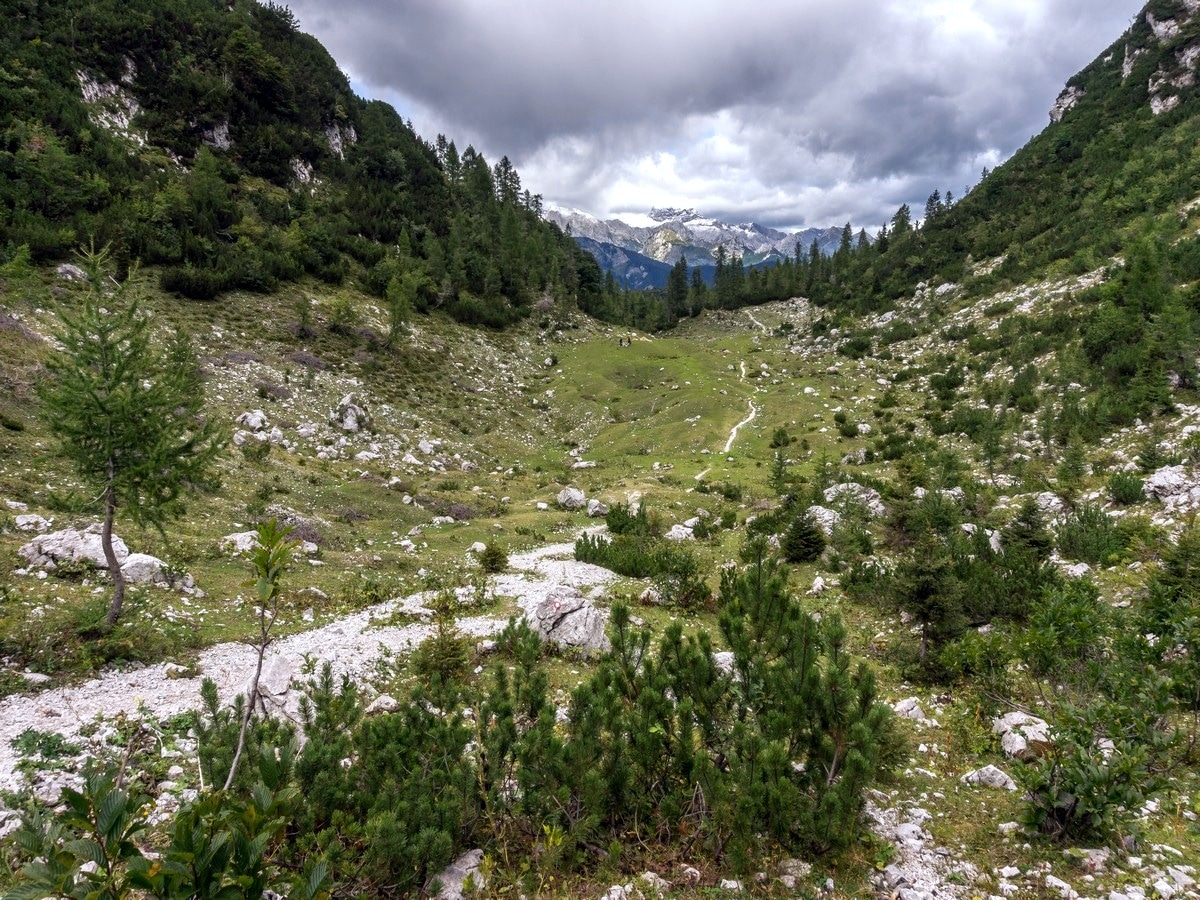 Grassy valley above Zadnji Vogel pasture on the Vogel and Rodica Hike in Julian Alps, Slovenia