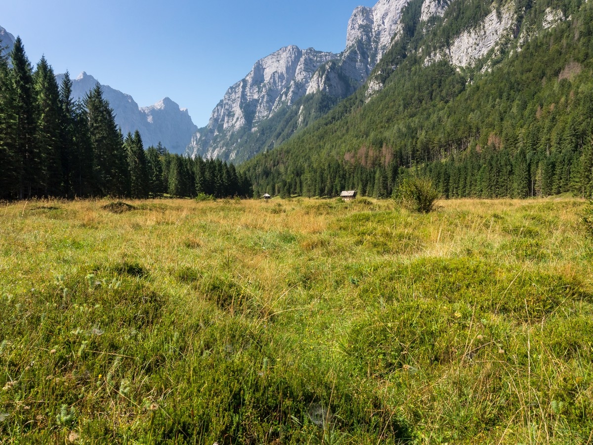 Krma valley meadows as seen the Kredarica Hike in Julian Alps, Slovenia