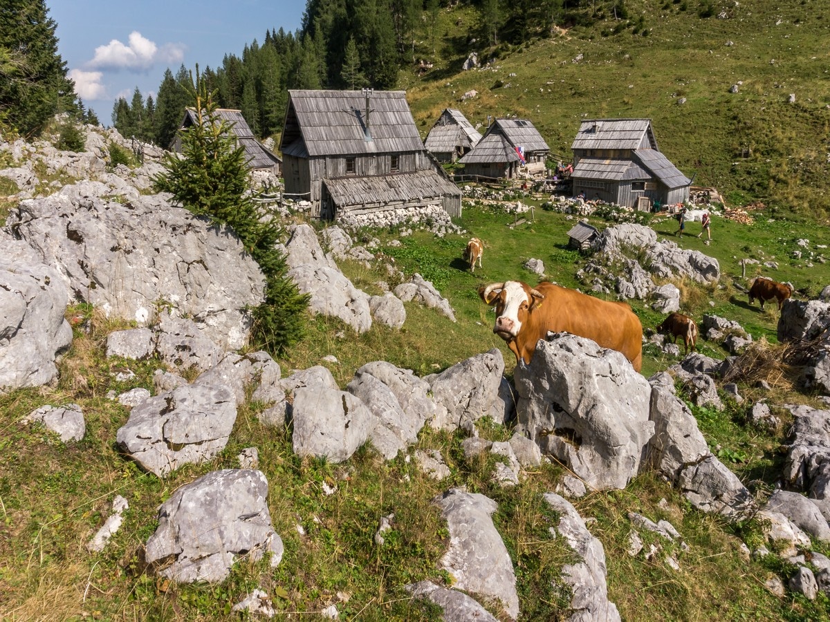 Viševnik pasture with Bregar refuge on the Valley of The Seven Lakes Hike in Julian Alps, Slovenia