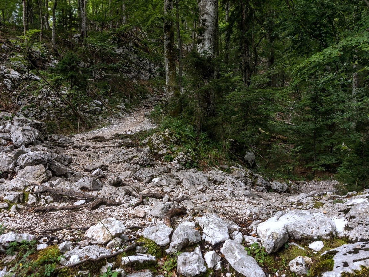 Old military path to Komna Plateau on Komna and Lanževica Hike in Julian Alps, Slovenia