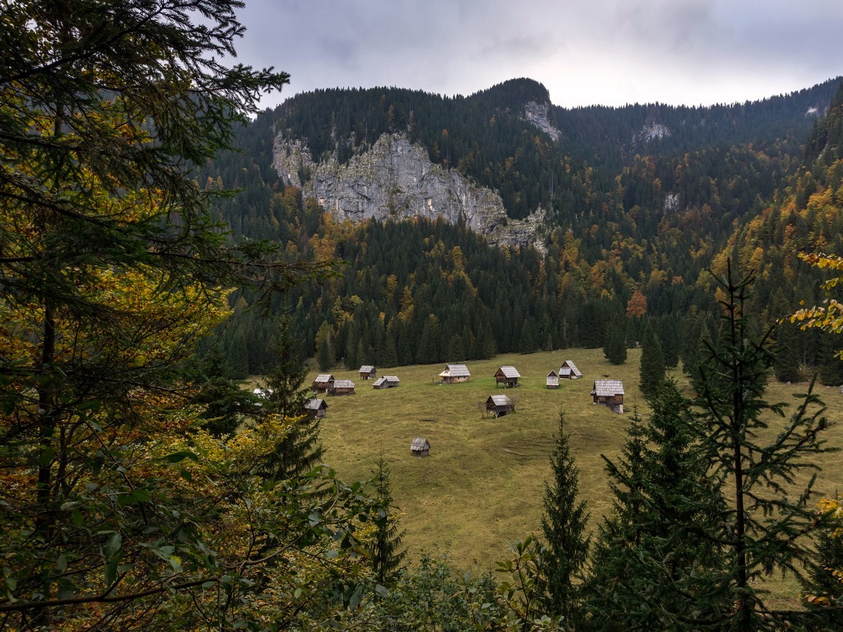 Bohinj Pastures Route Hike in Julian Alps, Slovenia