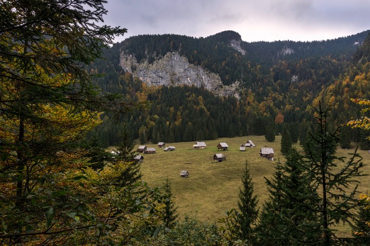 Blato is one of the pastures on Bohinj Pastures loop hike in Julian Alps, Slovenia