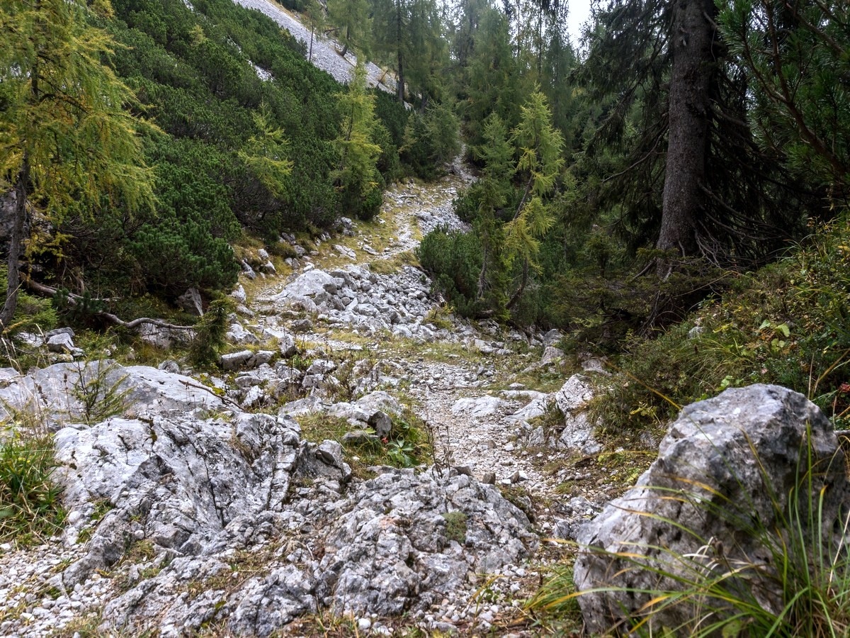 The path to V Lazu pasture on the Bohinj Pastures Route Hike in Julian Alps, Slovenia