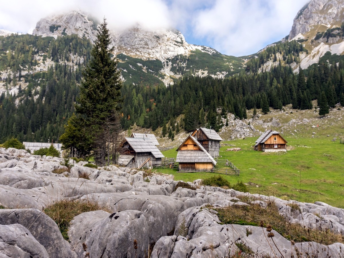 V Lazu pasture on the Bohinj Pastures Route Hike in Julian Alps, Slovenia