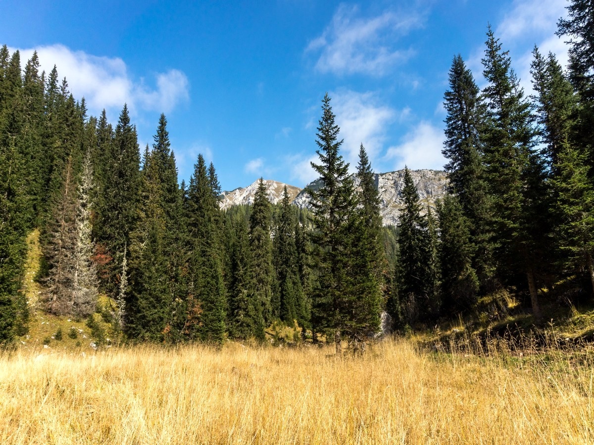 Debeli Vrh peak from the path to Jezero pasture on the Bohinj Pastures Route Hike in Julian Alps, Slovenia