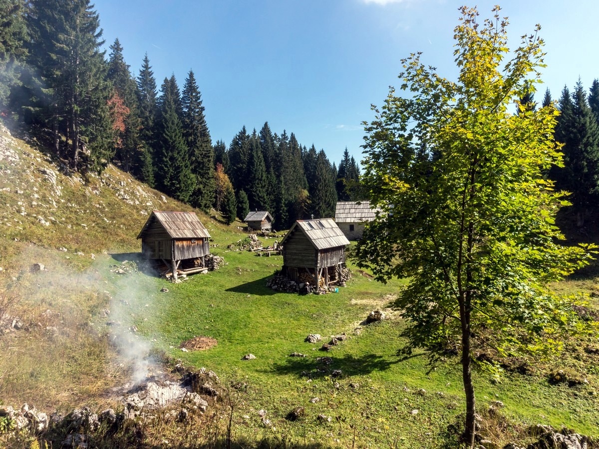 Vodični Vrh pasture on Bohinj Pastures Route walk in Julian Alps, Slovenia