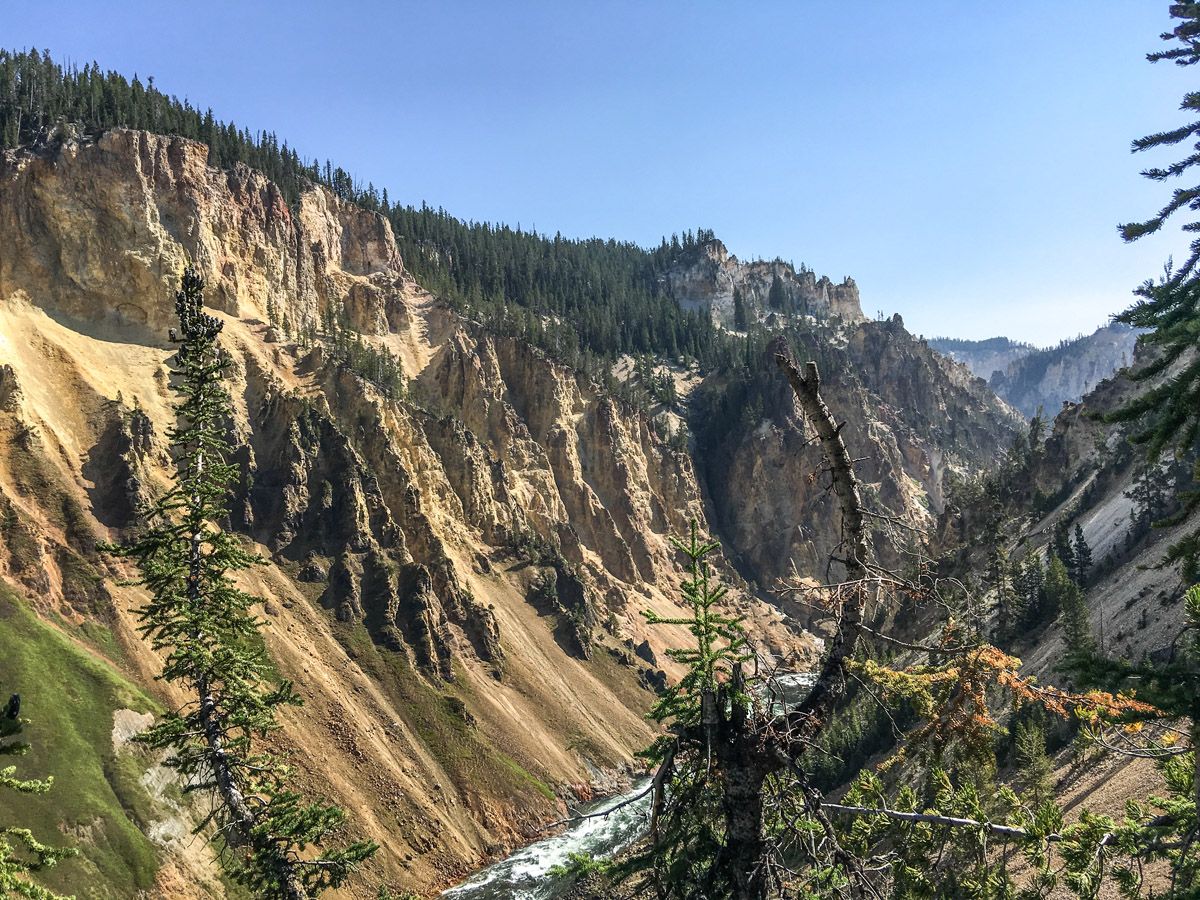 Beautiful canyon on South Rim hike in Yellowstone