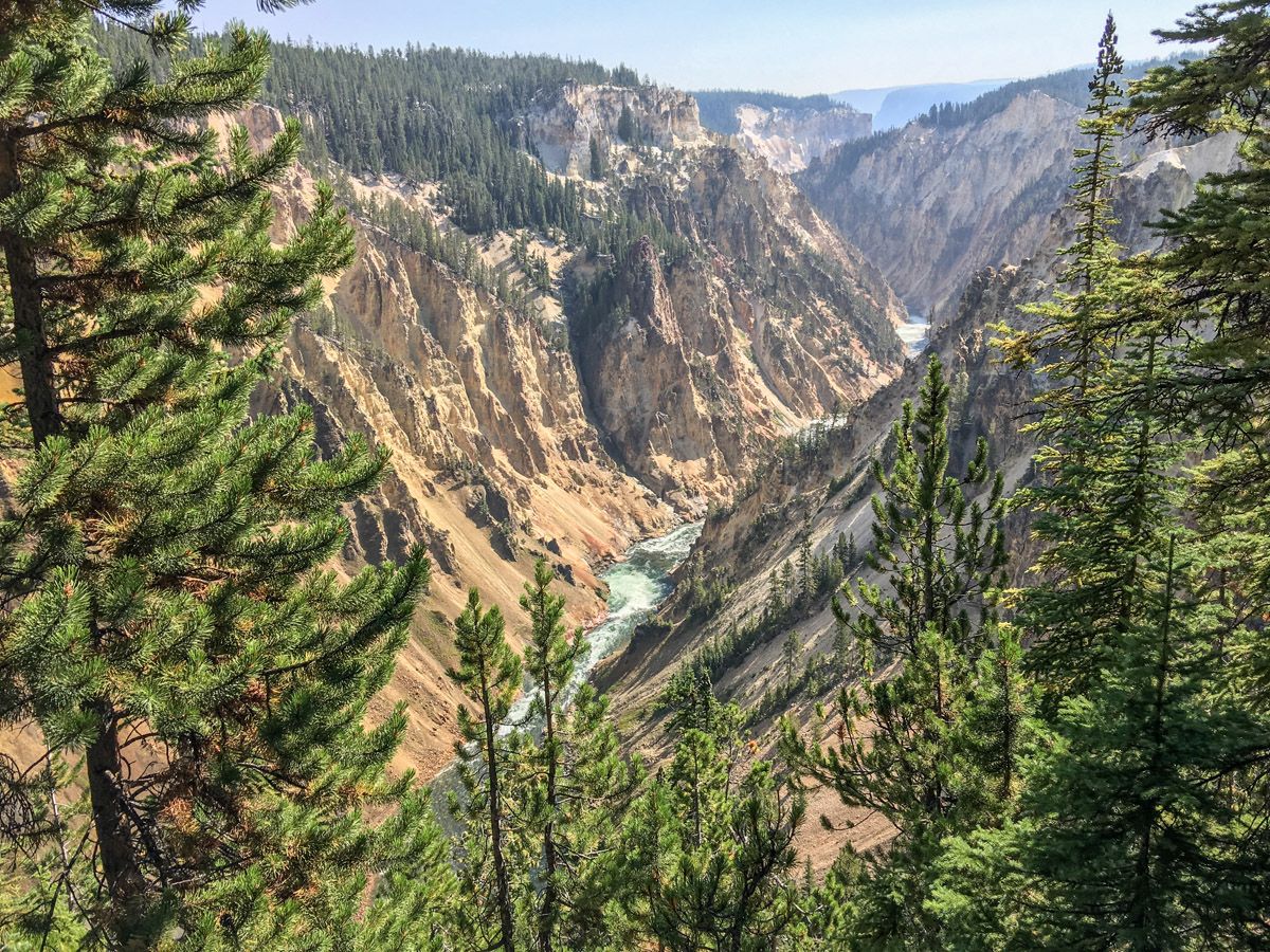 Canyon and the river on South Rim Hike in Yellowstone National Park, Wyoming