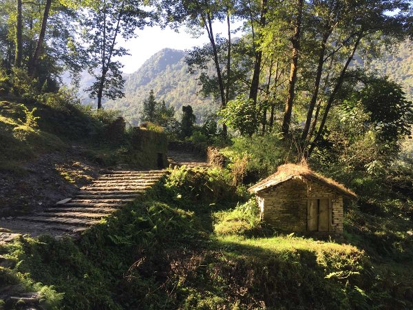 Staircases on Annapurna Basecamp trail