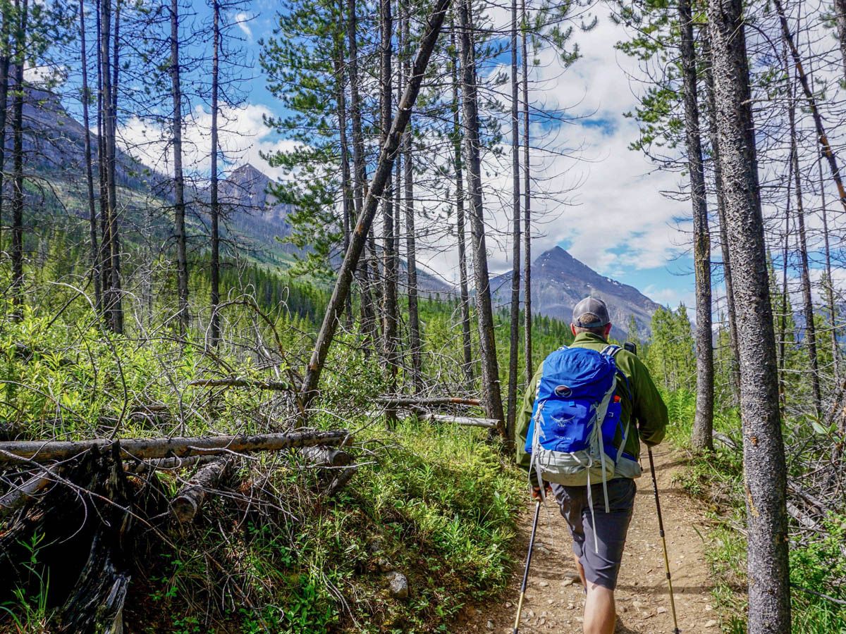 Trail of the Stanley Glacier Hike in Kootenay National Park, Canadian Rocky Mountains