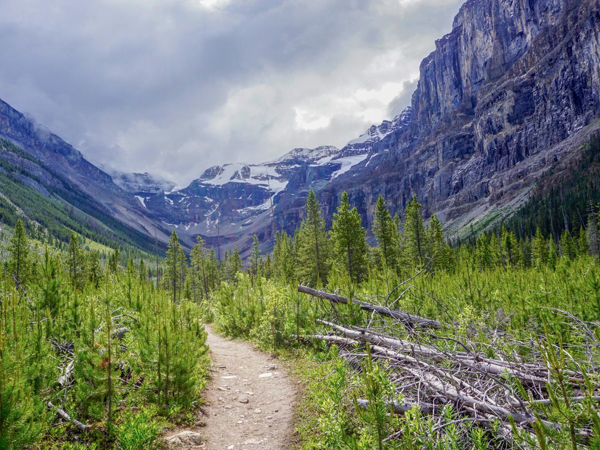 Valley on the Stanley Glacier Hike in Kootenay National Park, Canadian Rocky Mountains