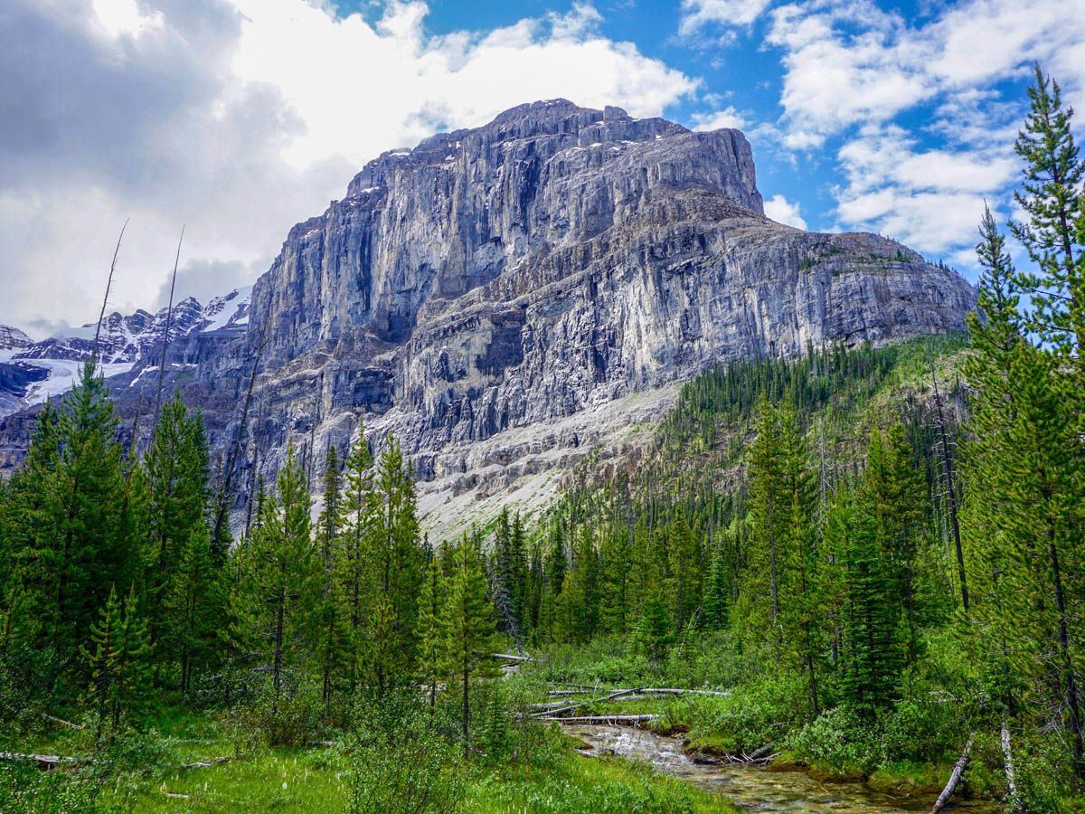 Wild river on the Stanley Glacier Hike in Kootenay National Park, Canadian Rocky Mountains