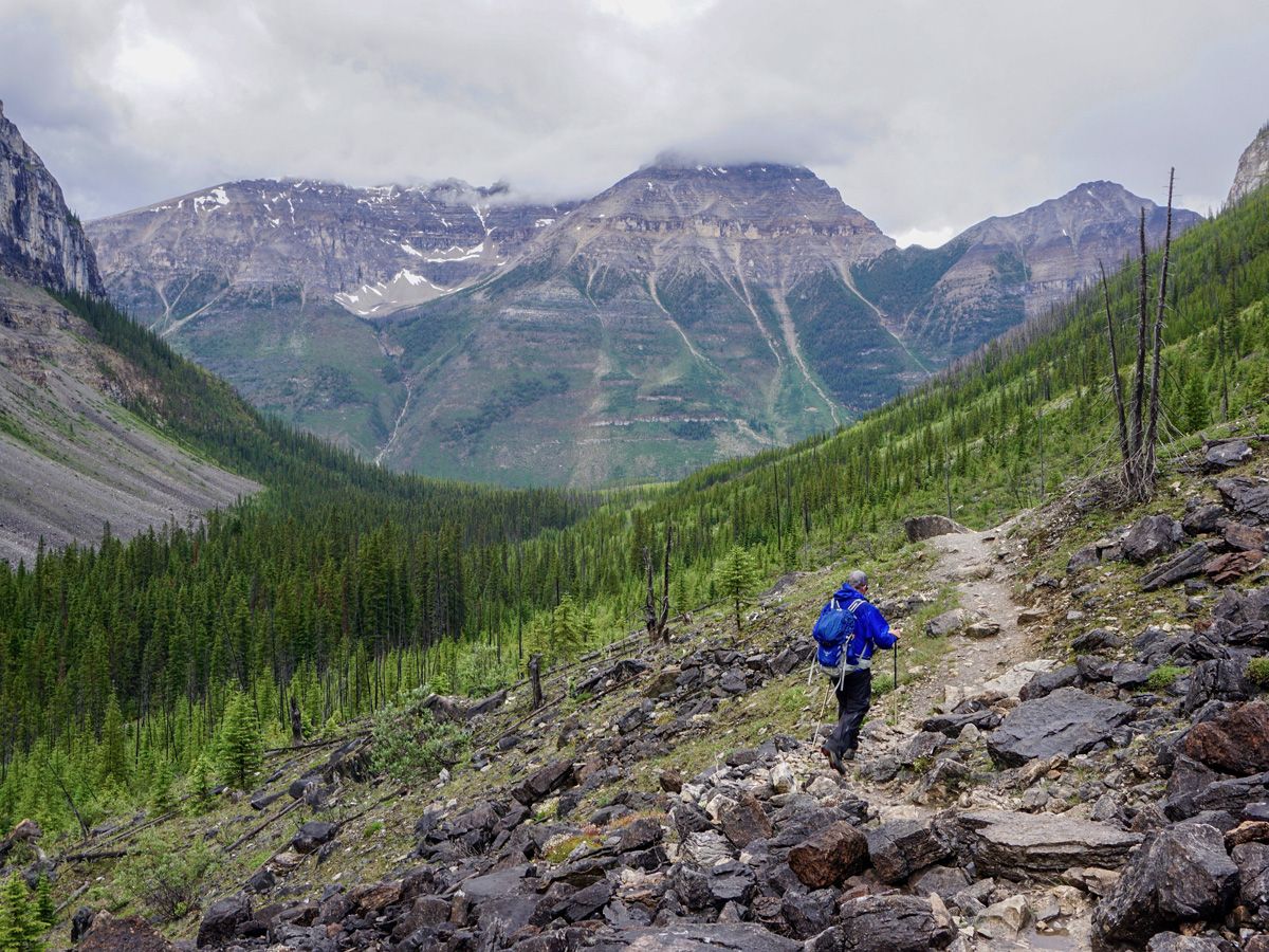 Man hiking on the Stanley Glacier Hike in Kootenay National Park, Canadian Rocky Mountains