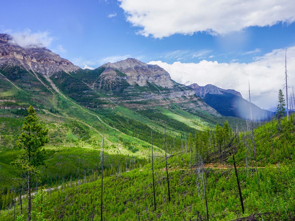 Beautiful valley surrounded by mountains on the Stanley Glacier Hike in Kootenay National Park, Canadian Rocky Mountains