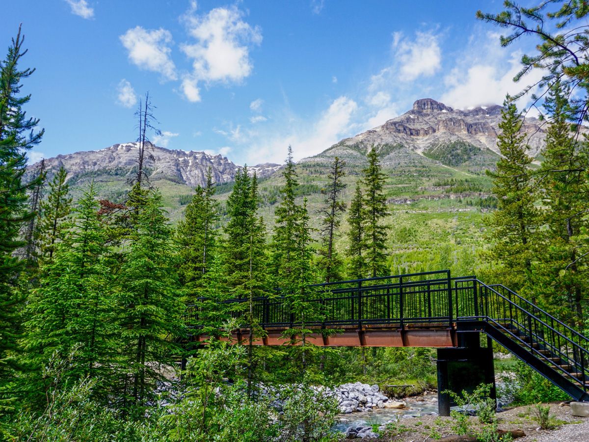Footbridge along the trail on the Stanley Glacier Hike in Kootenay National Park, Canadian Rocky Mountains