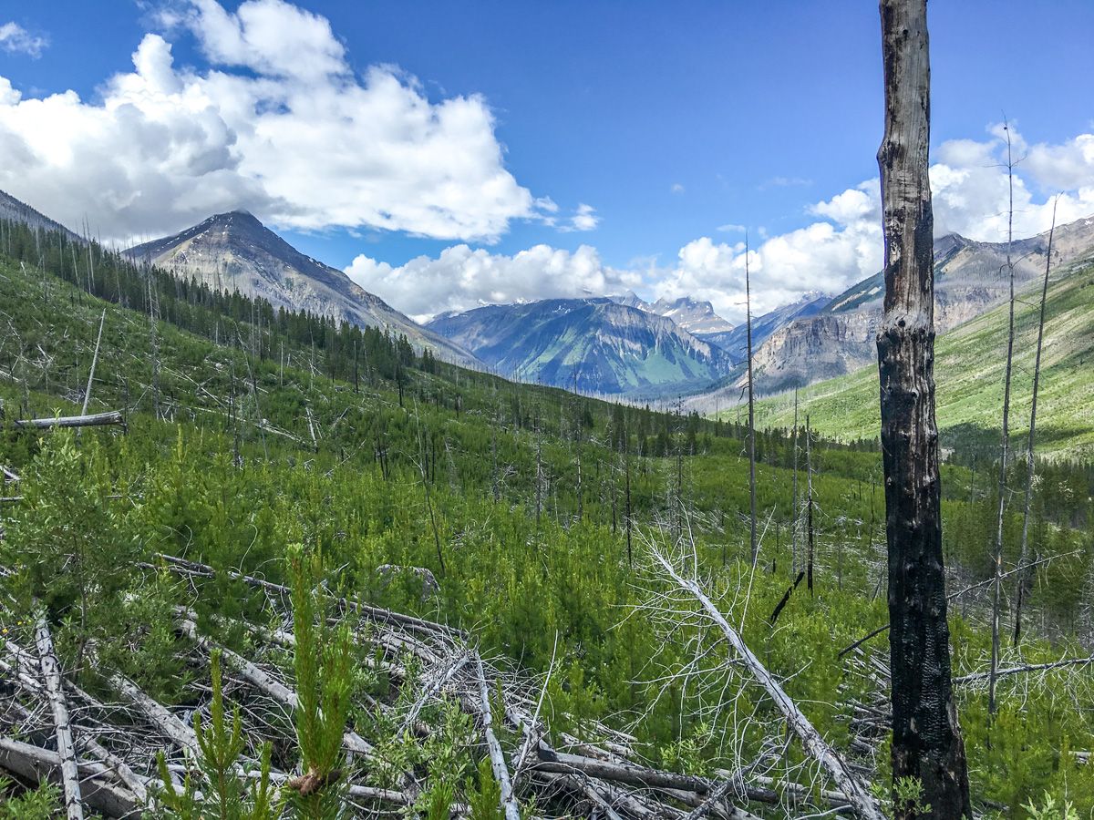 Landscape on the Stanley Glacier Hike in Kootenay National Park, Canadian Rocky Mountains