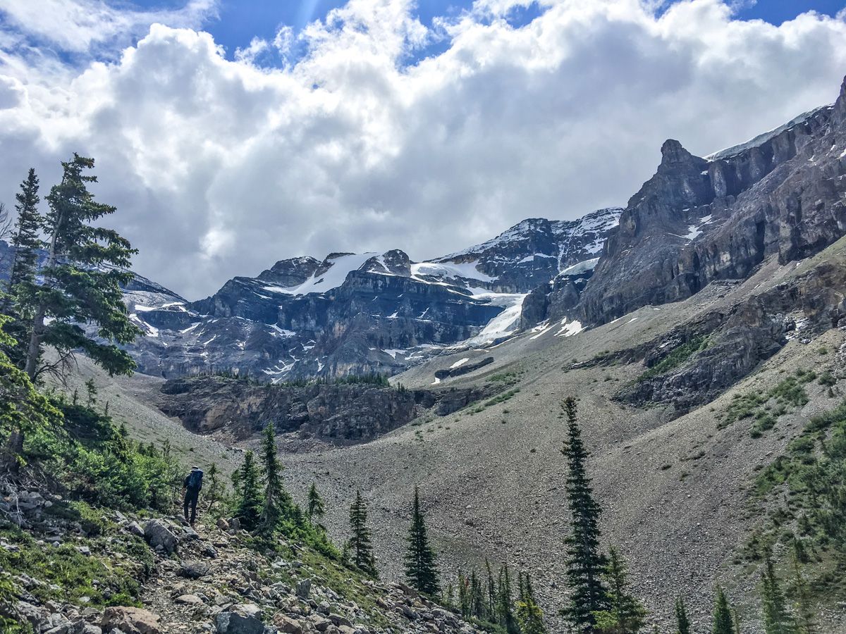 Trail on the Stanley Glacier Hike in Kootenay National Park, Canadian Rocky Mountains
