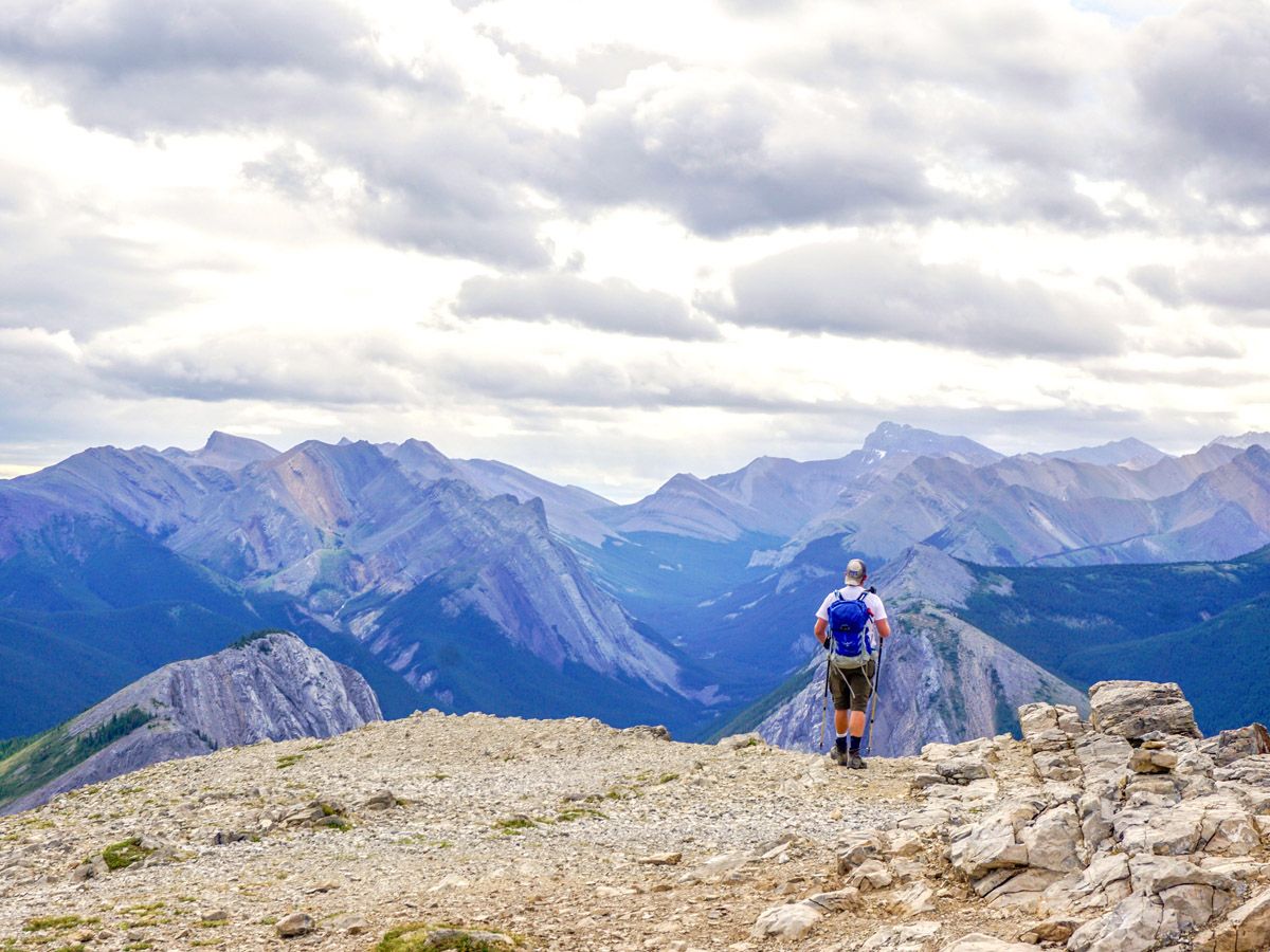 Man hiking at Whistlers Mountain and Indian Ridge as seen from the Sulphur Skyline Hike in Jasper National Park
