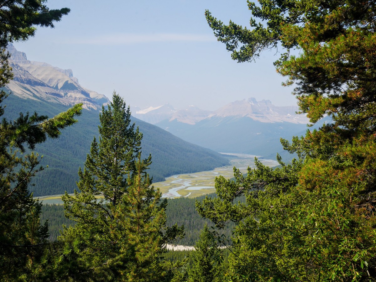 Saskatchewan River from the Sunset Viewpoint and Pass Hike from the Icefields Parkway near Banff National Park