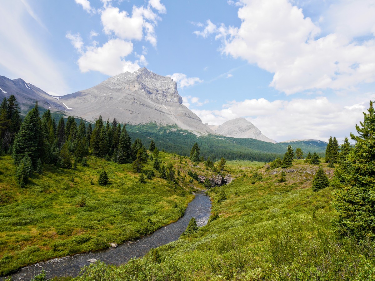 Mt Coleman above Norman Creek on the Sunset Viewpoint and Pass Hike from the Icefields Parkway near Banff National Park