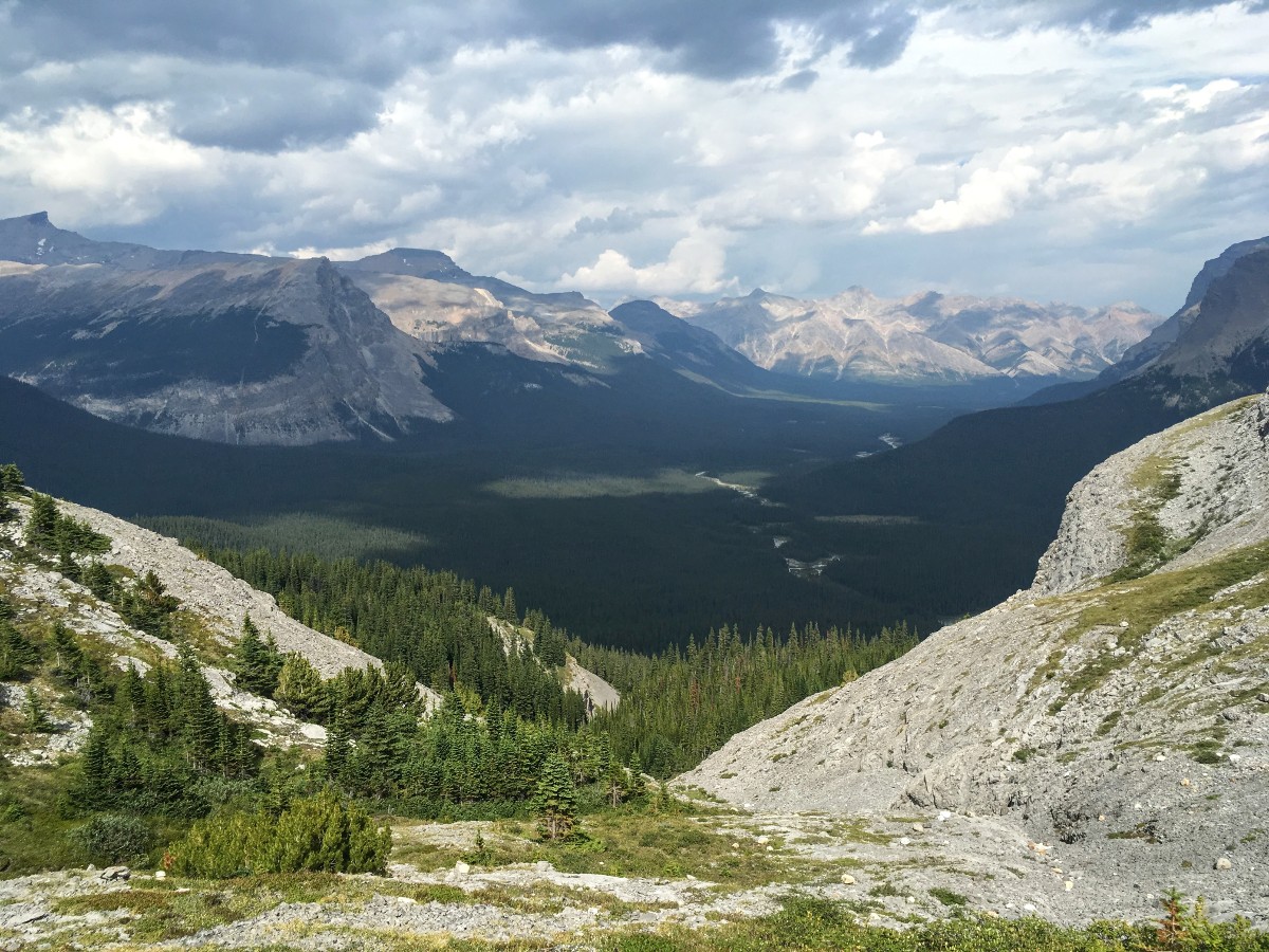 View into Cline River Valley from the Sunset Viewpoint and Pass Hike from the Icefields Parkway near Banff National Park