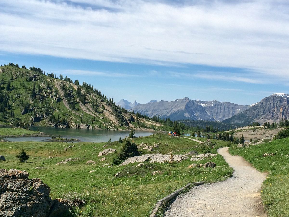 Sunshine Meadows Hike (Rock Isle, Grizzly and Larix Lake)