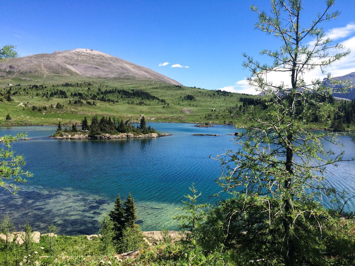 Mountain on the Sunshine Meadows (Rock Isle, Grizzly and Larix Lake) Hike in Banff National Park