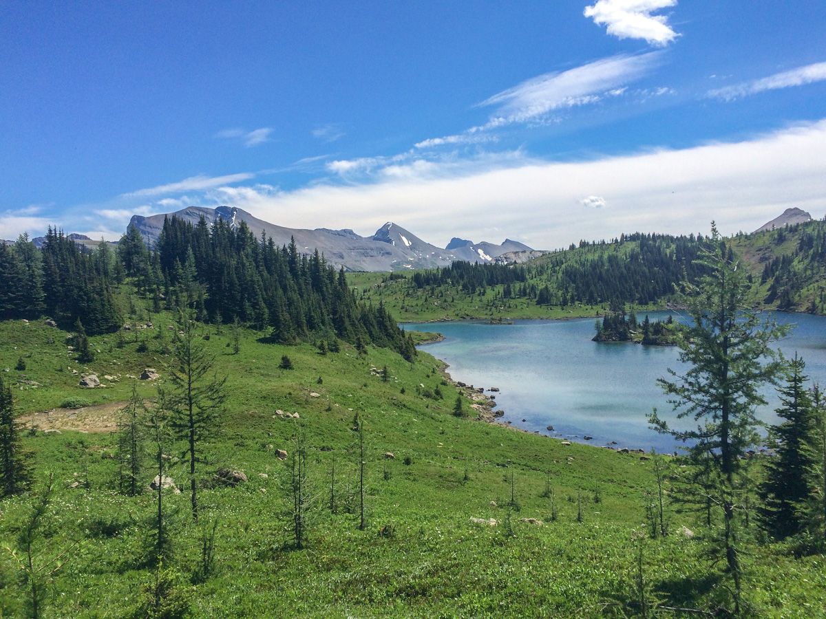 Peaks on the Sunshine Meadows (Rock Isle, Grizzly and Larix Lake) Hike in Banff National Park