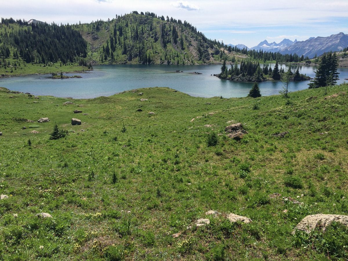 Scenery around the Sunshine Meadows (Rock Isle, Grizzly and Larix Lake) Hike in Banff National Park