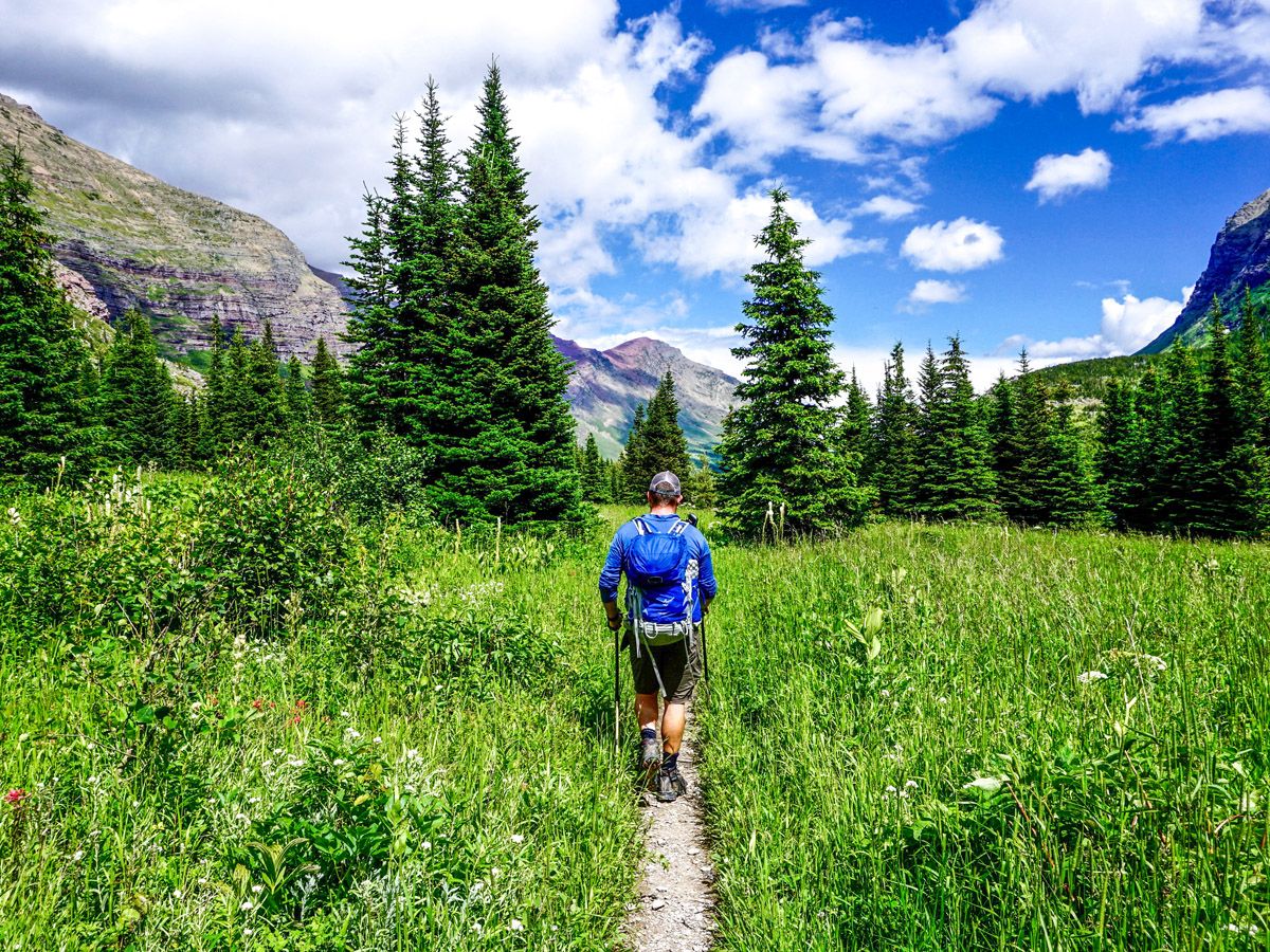 Swiftcurrent Creek and Lakes Hike in Glacier National Park