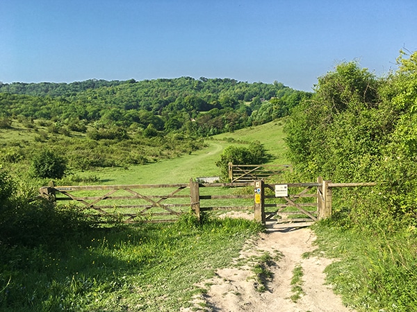 Views from the Brush Hill & White Leaf Nature Reserve hike in Chiltern Hills, England