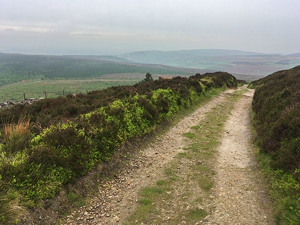 Trail of the Black Hambleton walk in North York Moors, England