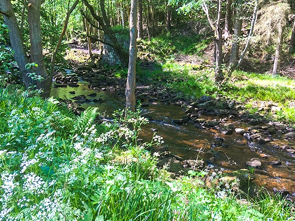 Goathland, Mallyan Spout and the Roman Road hike in North York Moors