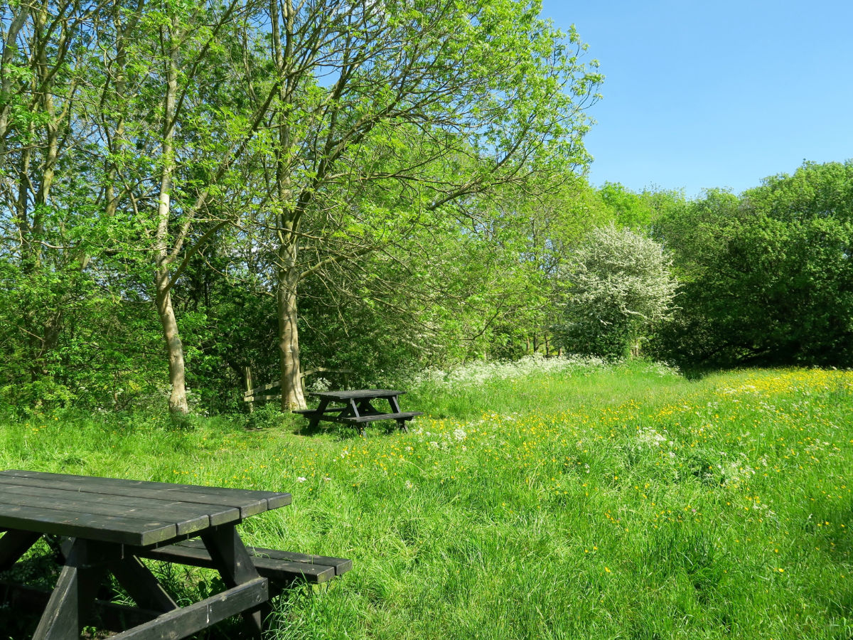 Picnic spot on the Monsal Trail Hike in Peak District, England
