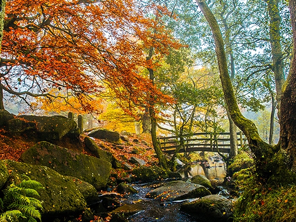 Scenery from the Padley Gorge hike in Peak District, England
