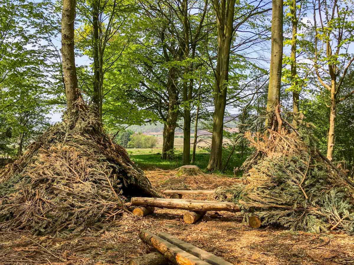 A creative woodland space for children on the Padley Gorge Hike in Peak District, England