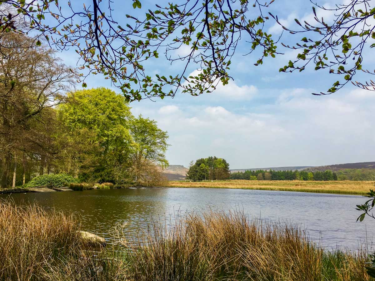 The pond along the Padley Gorge Hike in Peak District, England