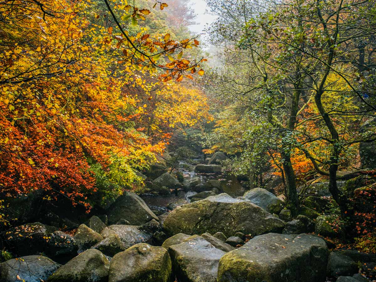 Walking into the gorge on the Padley Gorge Hike in Peak District, England