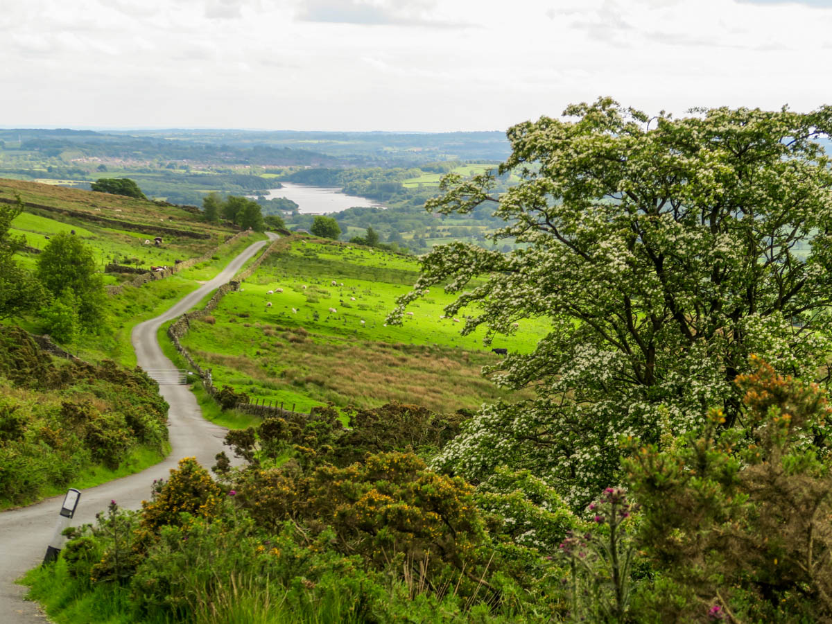 The quiet road back to the trailhead on The Roaches and Lud's Church Hike in Peak District, England