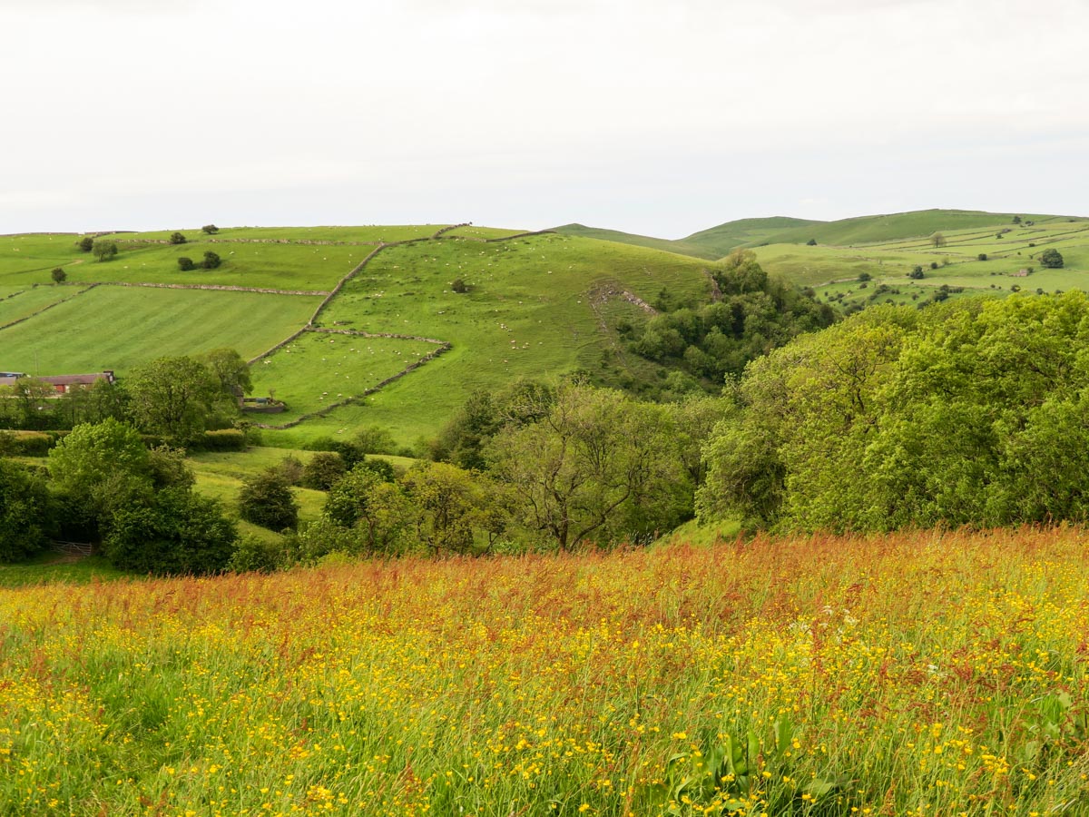 The rolling Derbyshire Hills on Thor's Cave and The Manifold Valley Hike in Peak District, England