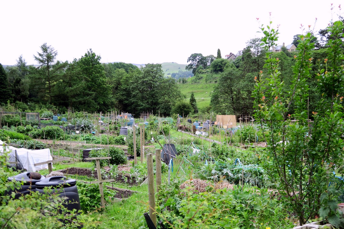 Village allotment on the Stanage Edge from Hathersage Hike in Peak District, England