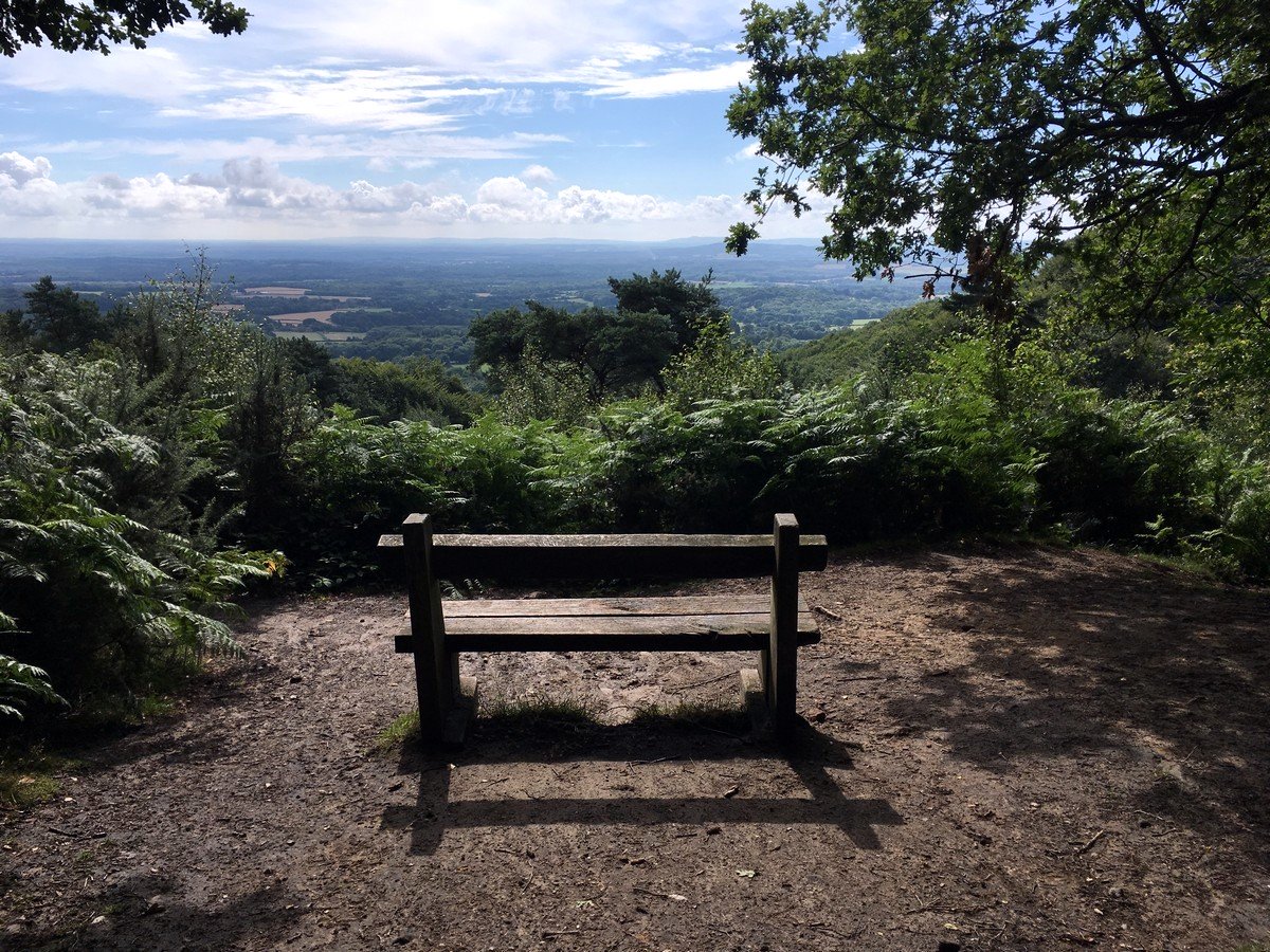 Viewpoint to the west from Black Down on the Temple of the Winds Hike in South Downs, England