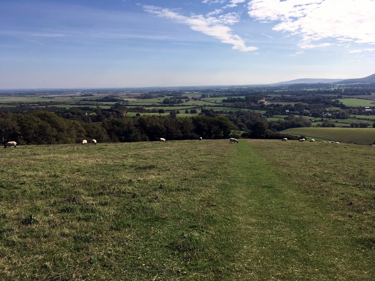 The returning trail of the Glynde and Mount Caburn Hike in South Downs, England