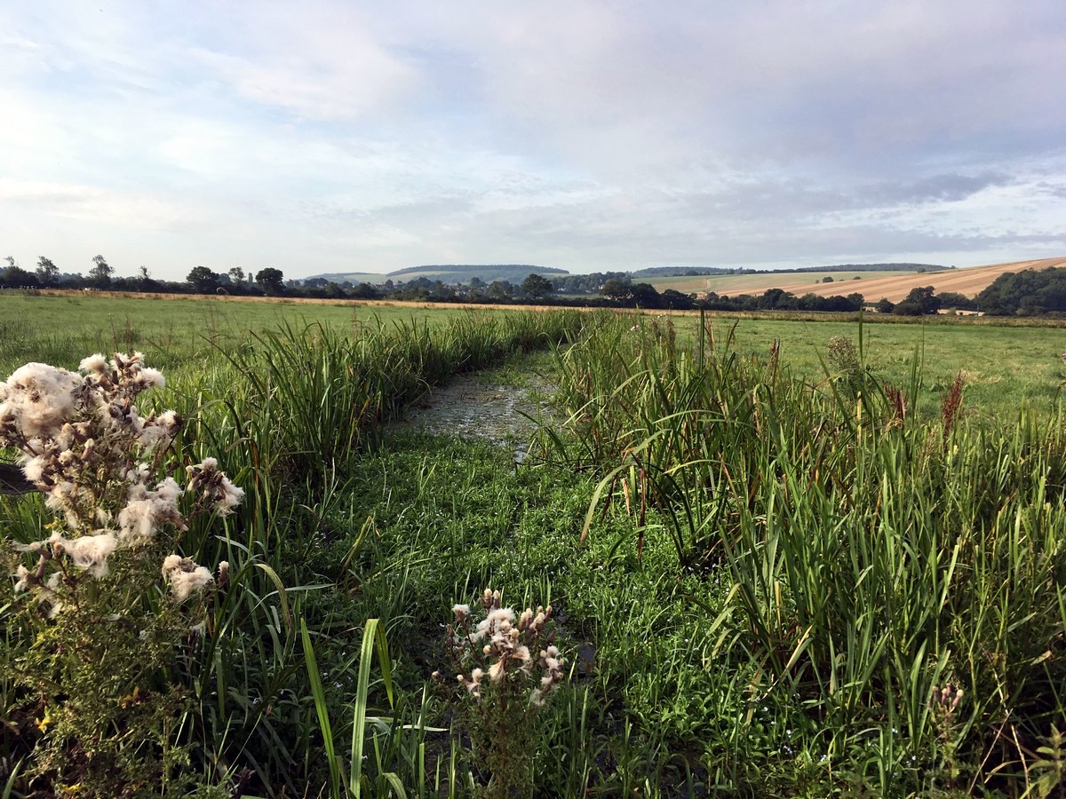 Views across the lower marsh on the Amberley and the River Arun Hike in South Downs, England