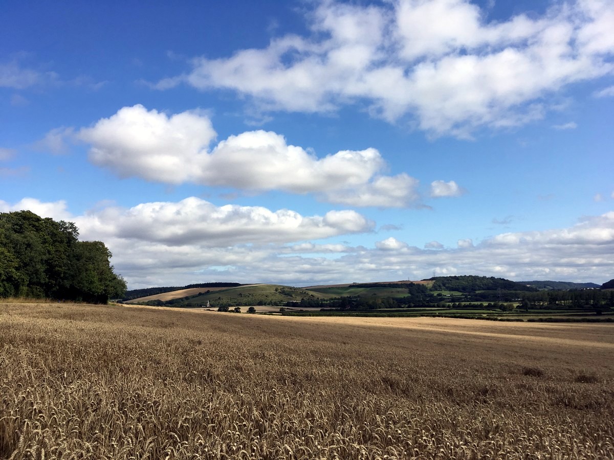 Views back towards East Meon on the East Meon and Butser Hill Hike in South Downs, England