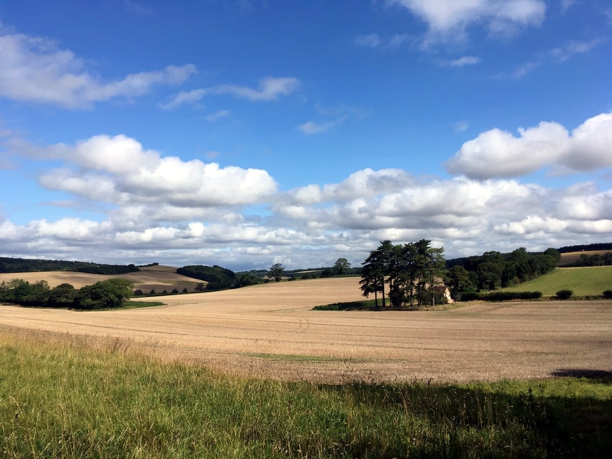 Fields near Duncombe farm on the East Meon and Butser Hill Hike in South Downs, England