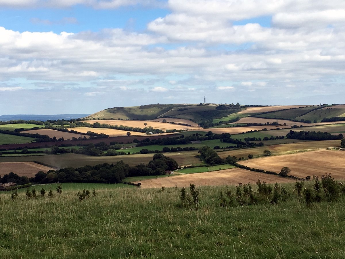 View of Butser hill on a hike in South Downs, England