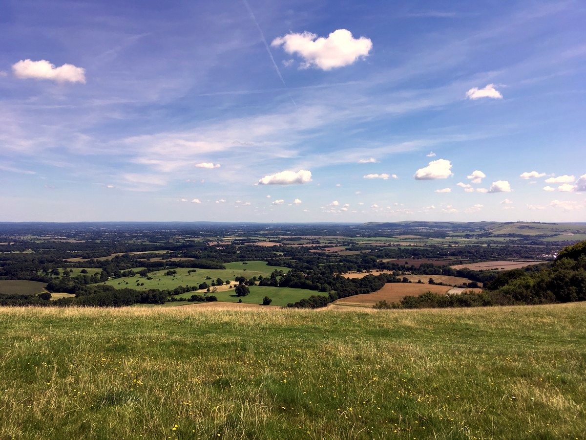 Views from Chanctonbury on the Amberley to Shoreham-by-Sea Hike in South Downs, England